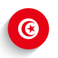 Tunisia Systematic Country Diagnostic Update
