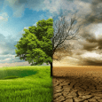 IPPC Report - Climate Change and Land